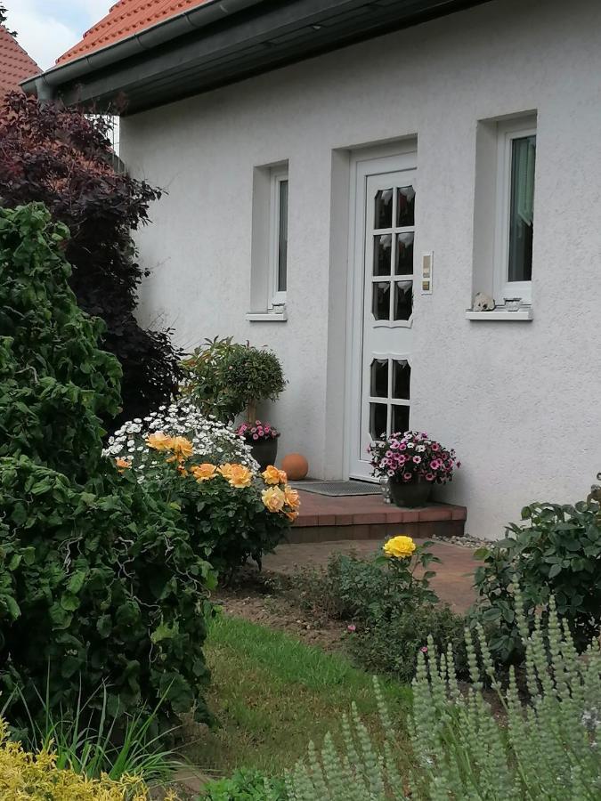 Fam. M.lehmann Heringsdorf (Usedom)